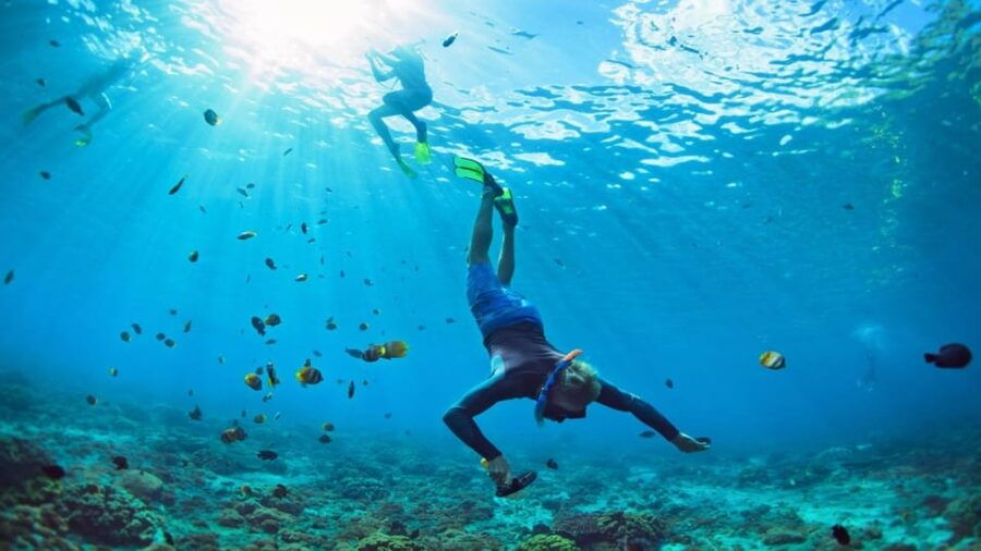 Bali: Experience of Nusa Penida Snorkeling and Island Tour - Tour Overview and Pricing