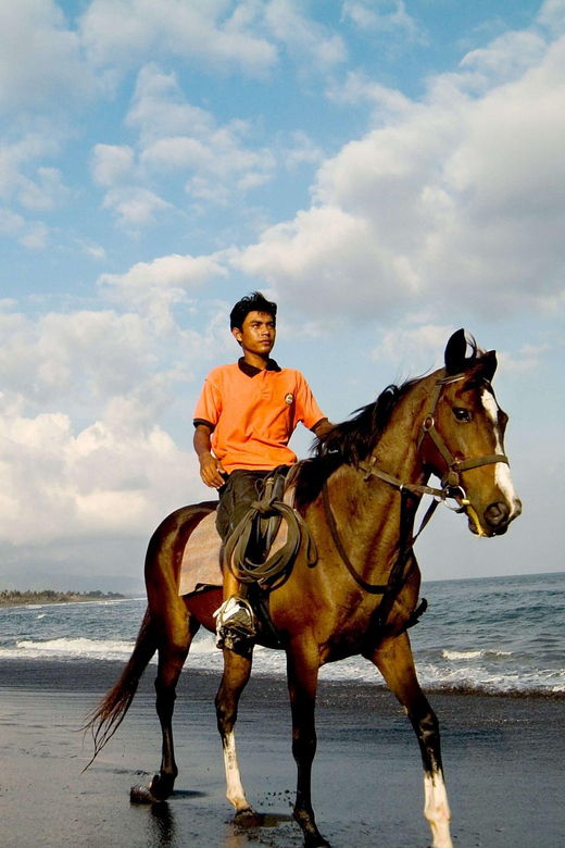 Bali Horse Riding on Black Sand Beach - Scenic Beauty of Saba Bay