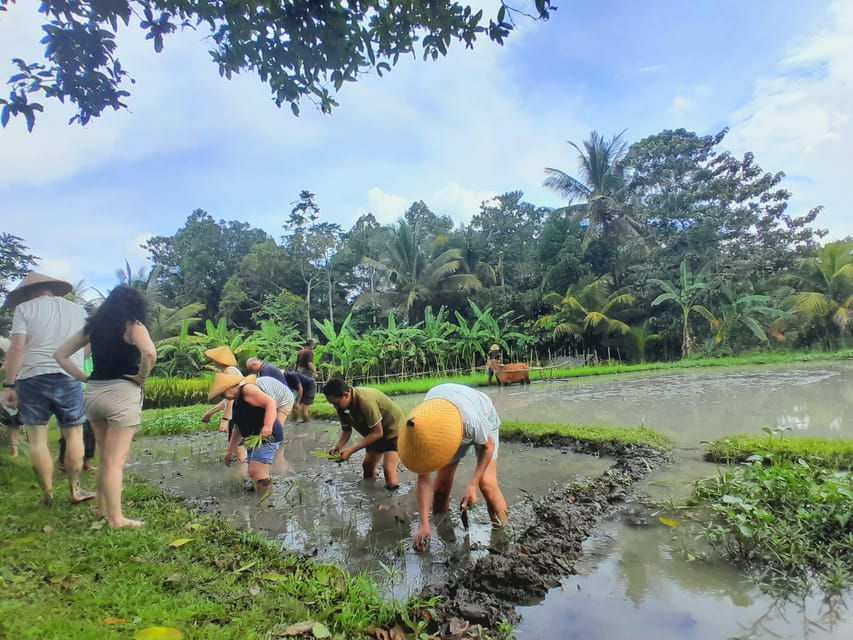 Bali: Legung Luwih Tabanan Village Activities