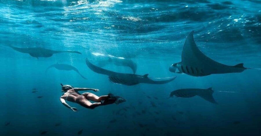 Bali: Nusa Penida Snorkeling Adventure and Island Tour - Tour Overview and Pricing