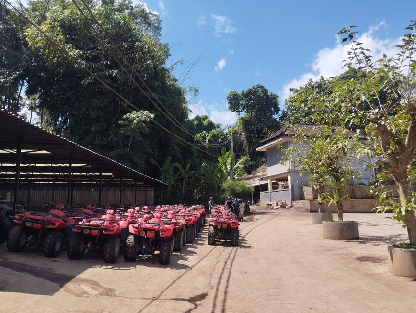 BALI: REASONS FOR ADVENTURE ATV RIDE/TEGALALANG TOURS