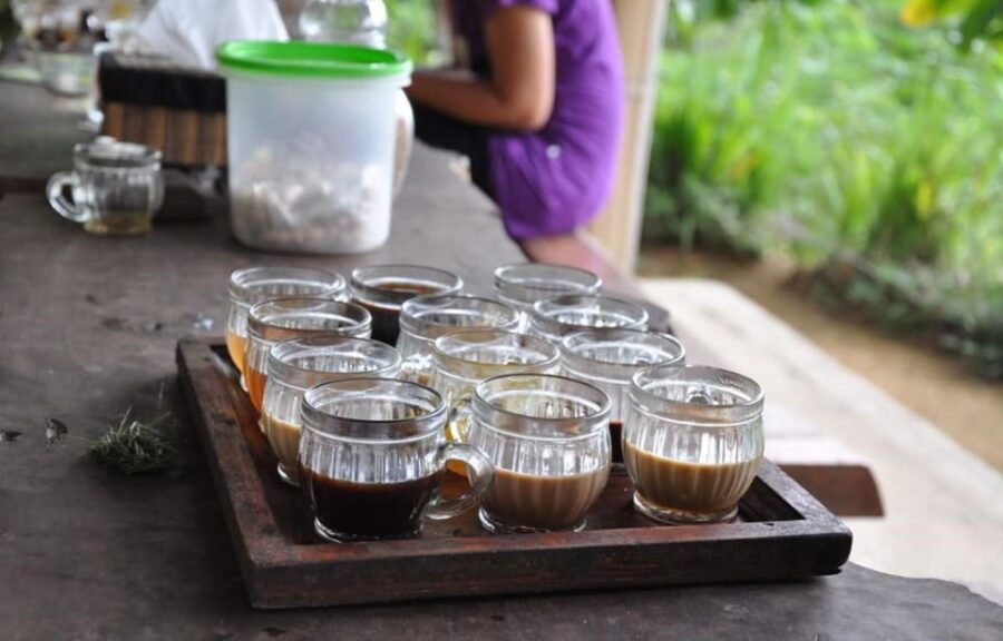 Bali: Ubud Nature Tour