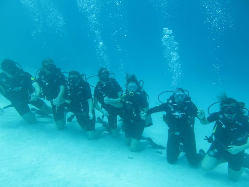 Basic Fun Dive at Menjangan Island