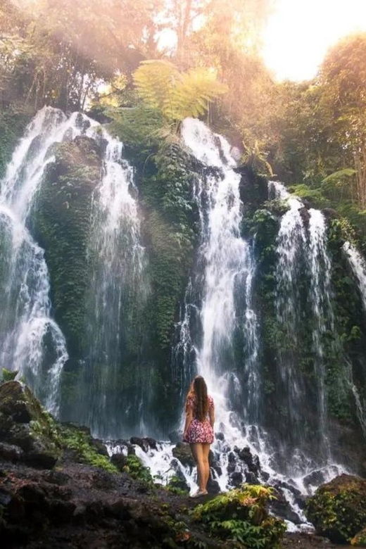 Beauty the Nature North of Bali Tour - Tour Overview