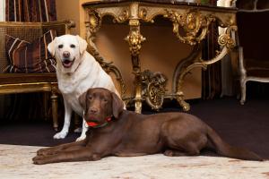 Best Western Plus Monopole Métropole - Hotel Overview and Location