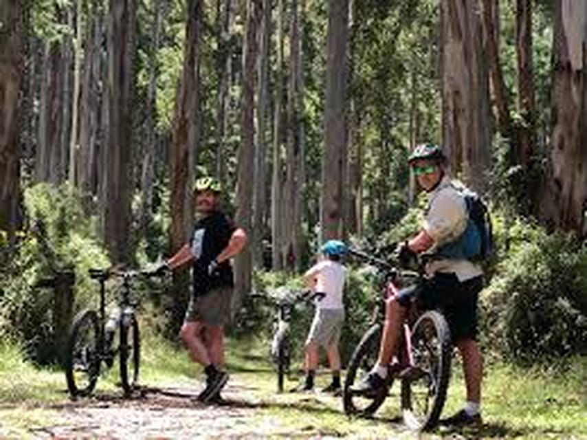 Bicycle Adventure: Bandarawela to Karadagolla Tour - Tour Overview and Pricing