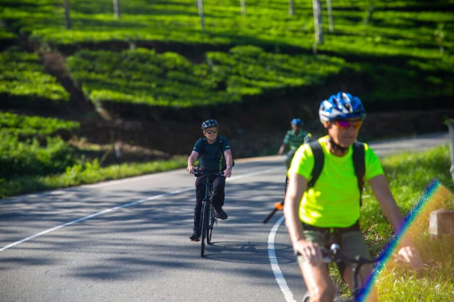Bicycle Adventure: Ella to Wellawaya With 2 Waterfalls Tour