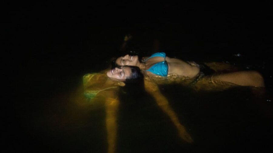 Bioluminescence & Turtle Release From Huatulco or Puerto Escondido - Activity Overview