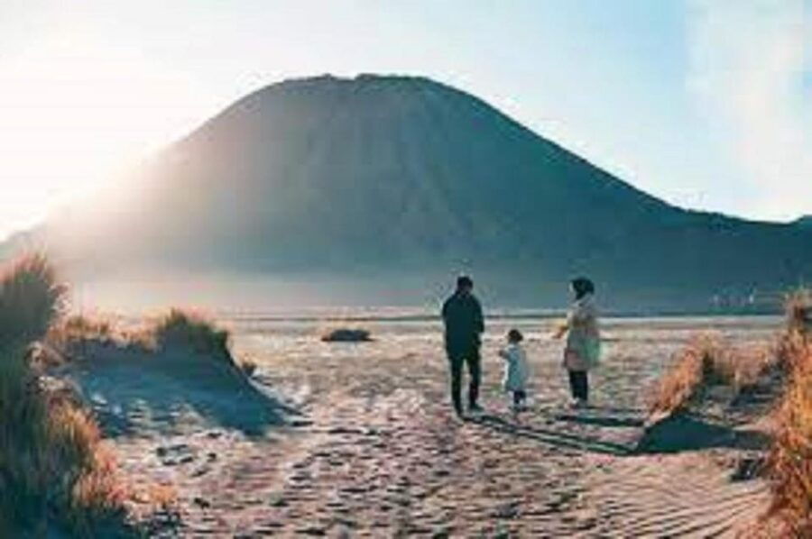 Bromo Midnight Tour From Bali/Banyuwangi Without Overnight - Tour Overview and Pricing
