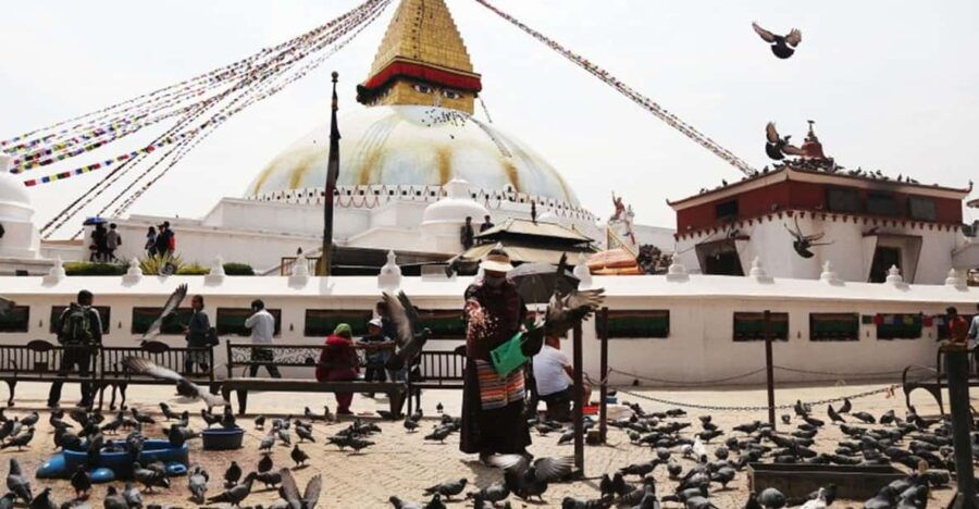 Buddhist Temples: Sowyambhu and Boudha 4 Hours Trip