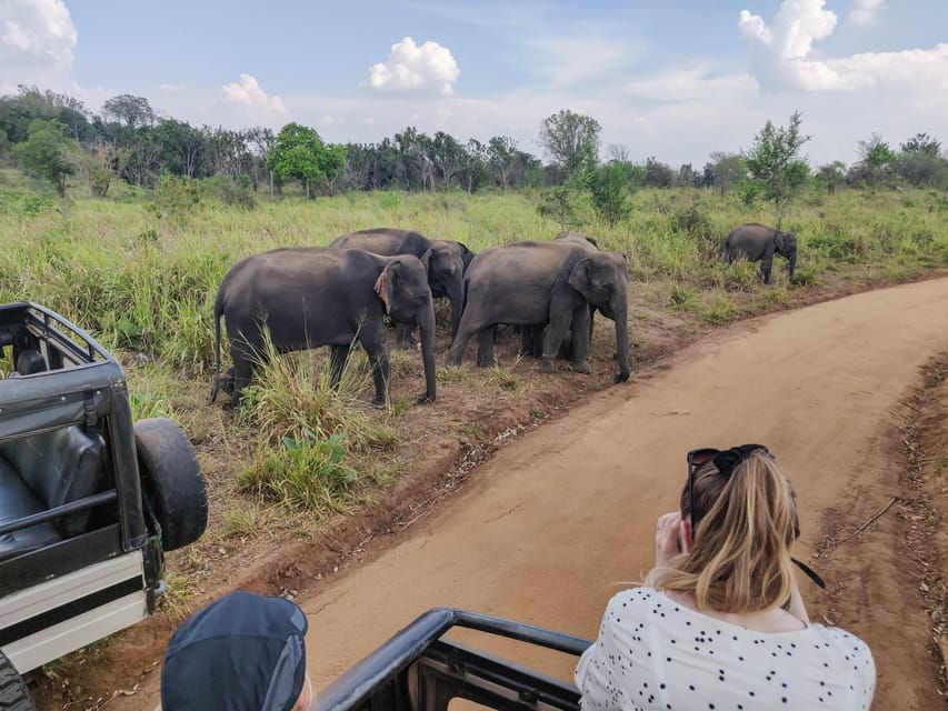 Bundala National Park Safari From Hambantota Sea Port