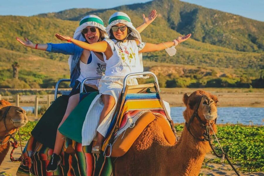 Cabo San Lucas: Camel Ride on the Beach