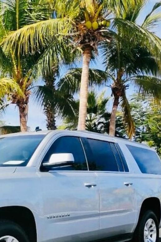 Cabo San Lucas: Private Airport Transfer, Only Downtown - Service Overview