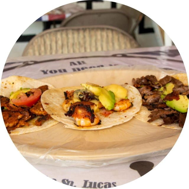 Cabo San Lucas: Taco Safari Tour - Experience Highlights