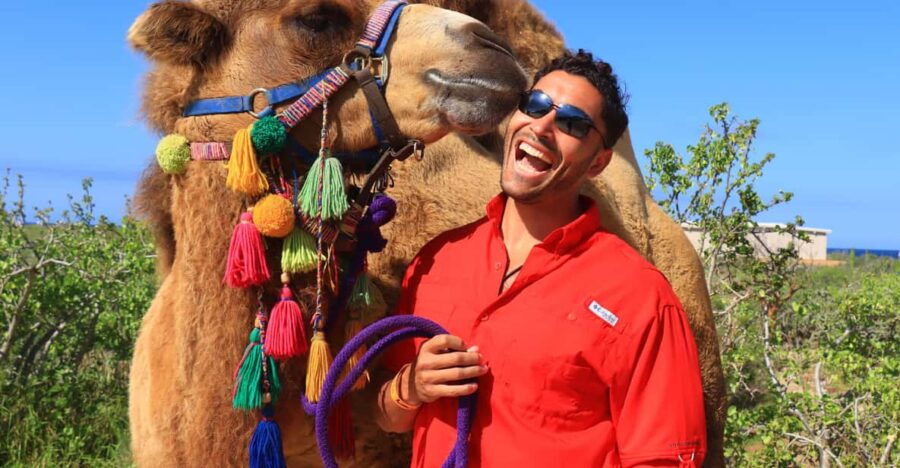 Cabo : UTV and Camel Ride in the Desert