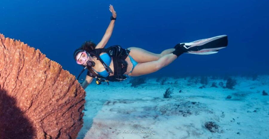Cancun: 2-Tank Certified Diving: Explore Shallow Reefs