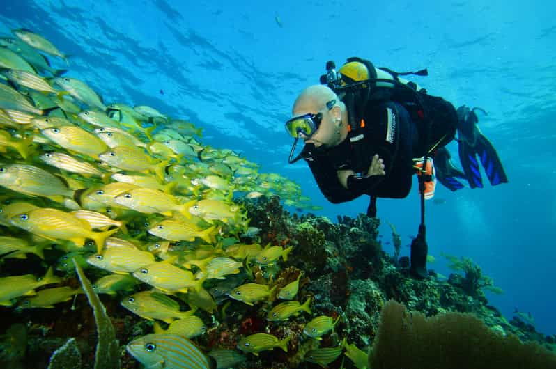 CANCUN: FIRST TIME DIVERS CANCUN