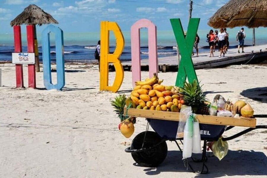 Cancun: Holbox Island, Punta Mosquito Day Trip With Lunch - Overview and Pricing