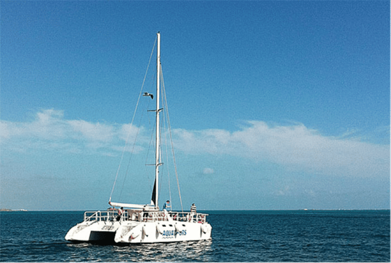 Cancún: Isla Mujeres Catamaran Sail, Snorkel & Dolphin Swim - Tour Overview and Pricing