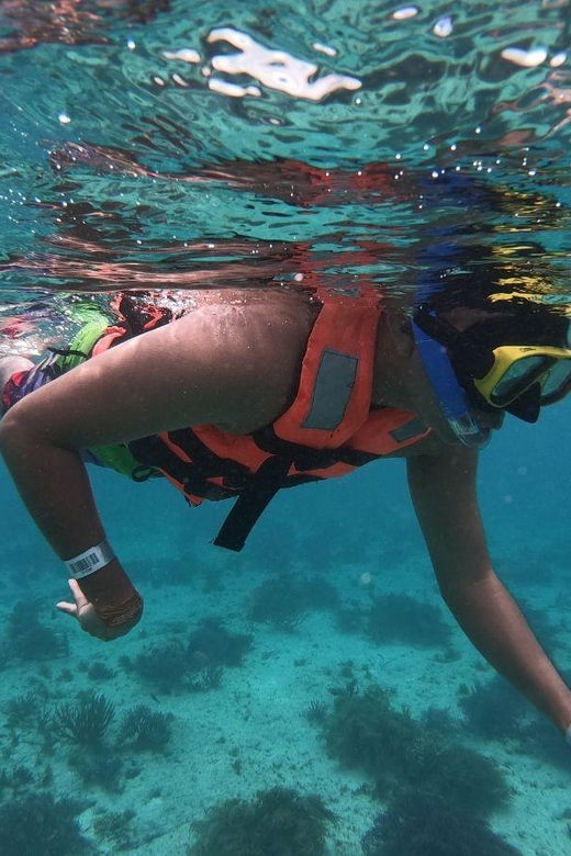 Cancun: Isla Mujeres Catamaran Tour With Lunch and Snorkel - Tour Overview and Pricing