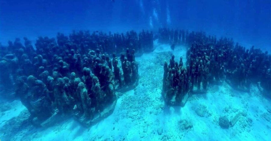 Cancun: MUSA Diving Experience - Overview and Pricing
