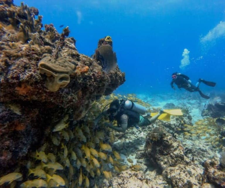 Cancun: Two Reef Dives – Punta Cancun