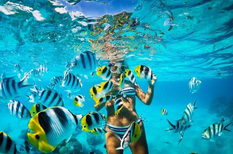 Catalina Island Full-Day Snorkeling + Lunch From Punta Cana - Tour Overview