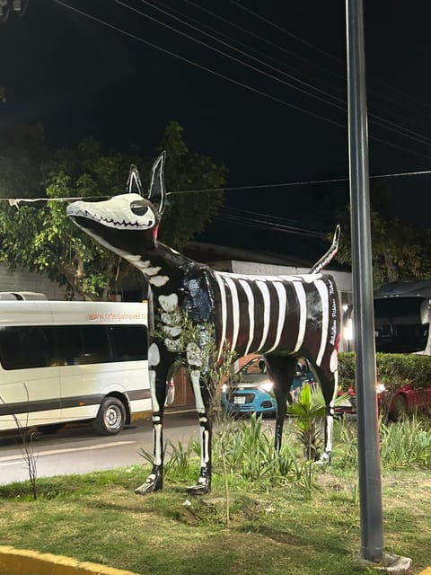 CDMX: Day of the Dead in Mixquic, Pantheon, Houses & Altars