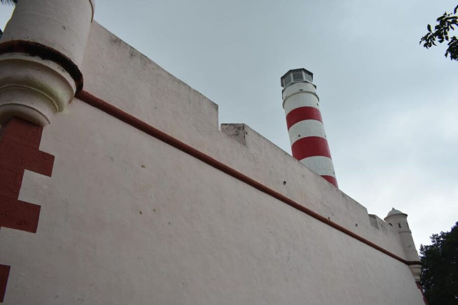 Celestun and Sisal Tour - Tour Overview