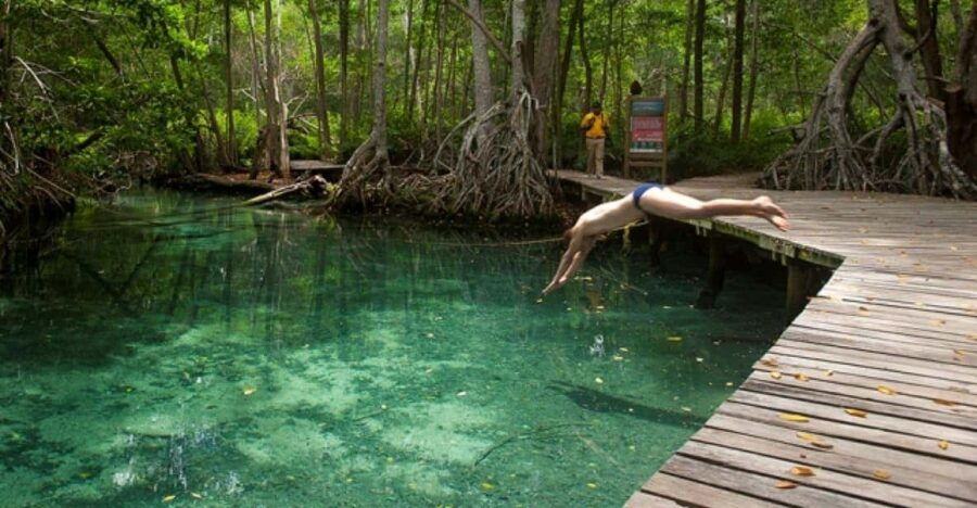 Celestun Beach and Mangrove Boat Ride Experience From Merida - Activity Overview