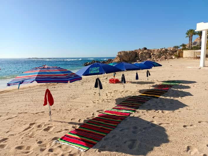 CHILENO BEACH DAY TRIP - Trip Overview