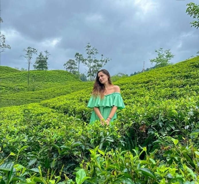 Coast to Culture 3 Days Galle/Mirissa to Ella,Kandy,Sigiriya