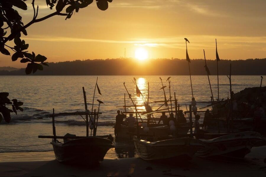 Colombo & Negombo To Galle/Hikkaduwa/Mirissa Day Tour - Itinerary Highlights