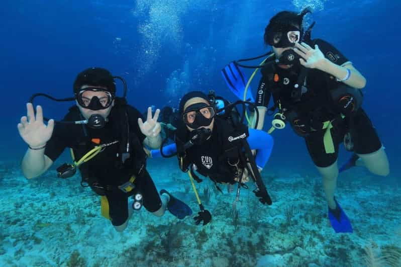 Cozumel: 2-Tank Dive Trip With Lunch and Transfers - Activity Overview