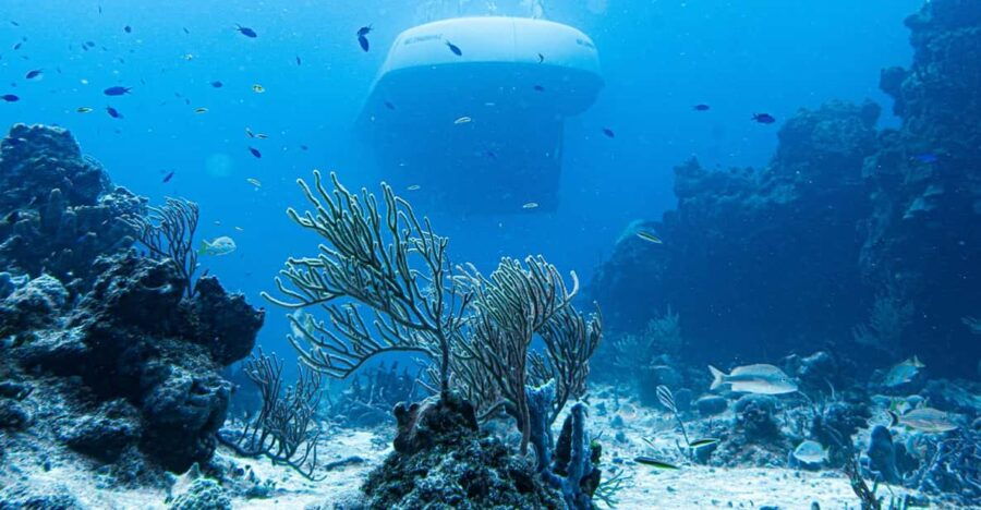 Cozumel: Atlantis Submarine Adventure