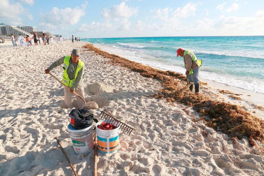 Cozumel Beach Guardians: Making a Difference Together - Initiative Highlights
