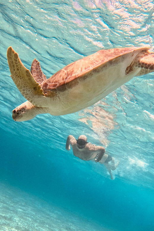 Cozumel: Cielo & Palancar Snorkel With Snack & Drinks