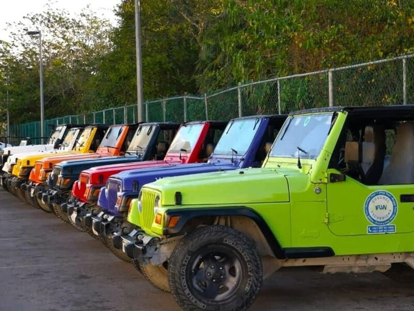 Cozumel: Classic Jeep or Buggy Island Tour to Punta Sur