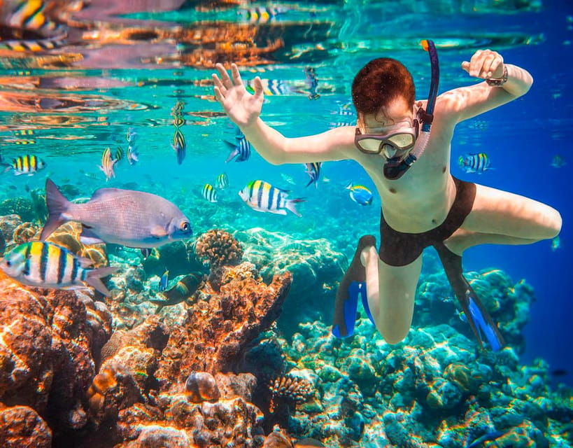 COZUMEL : Coral Laboratory and Chankanaab Eco Park. - Overview and Pricing