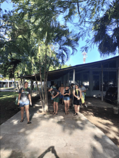 Cozumel: Downtown, Mayan Experience and San Gervasio