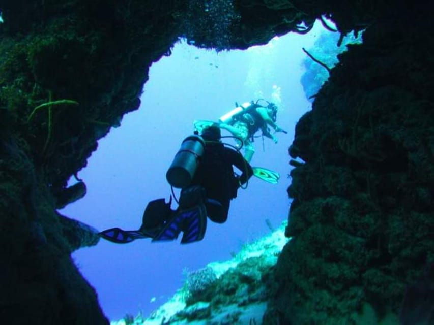 Cozumel: Fun Diving for Certified Divers by Boat - Activity Overview