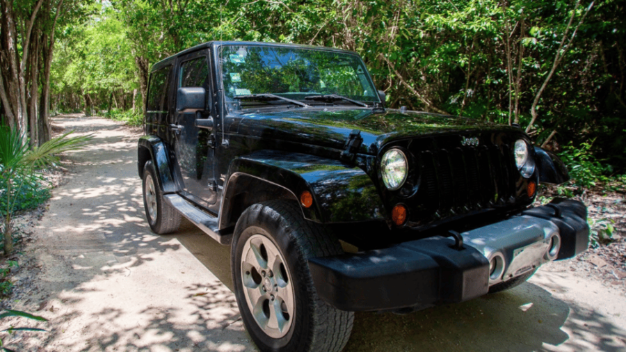 Cozumel: Jeep Tour of San Gervasio Ruins - Tour Overview and Pricing