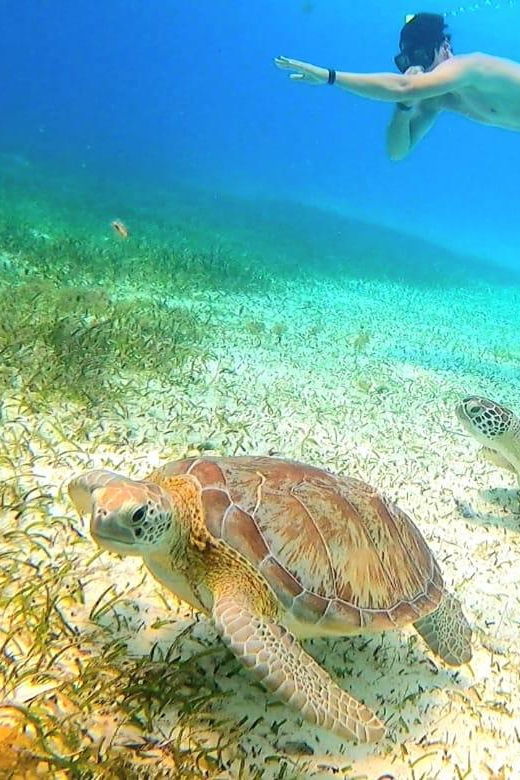 Cozumel: Snorkeling Tour With Cielo Estrellas Reef Visit - Tour Overview