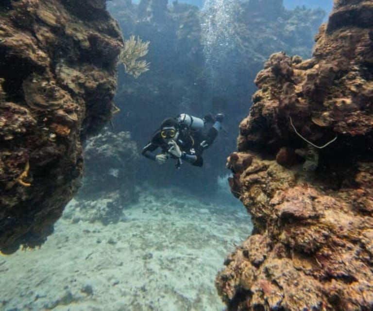 Cozumel: Two Dives in Cozumel National Marine Park