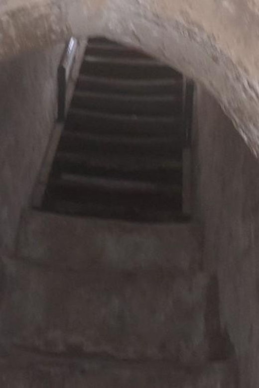 Cu Chi Tunnel Halfday – Must See in HCMC