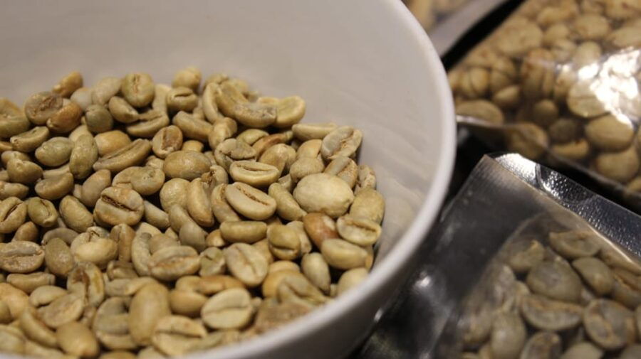 Cupping and Blending Your Own Vietnamese Beans
