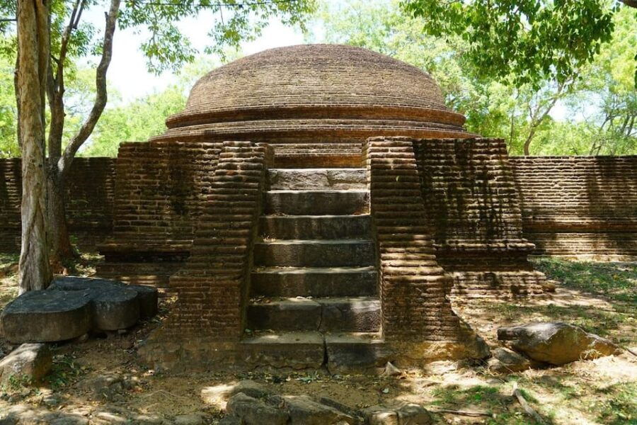Dambulla & Polonnaruwa Ancient City: Day Tour From Kandy - Tour Overview and Pricing
