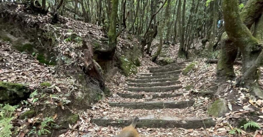 Day Hike in Kathmandu