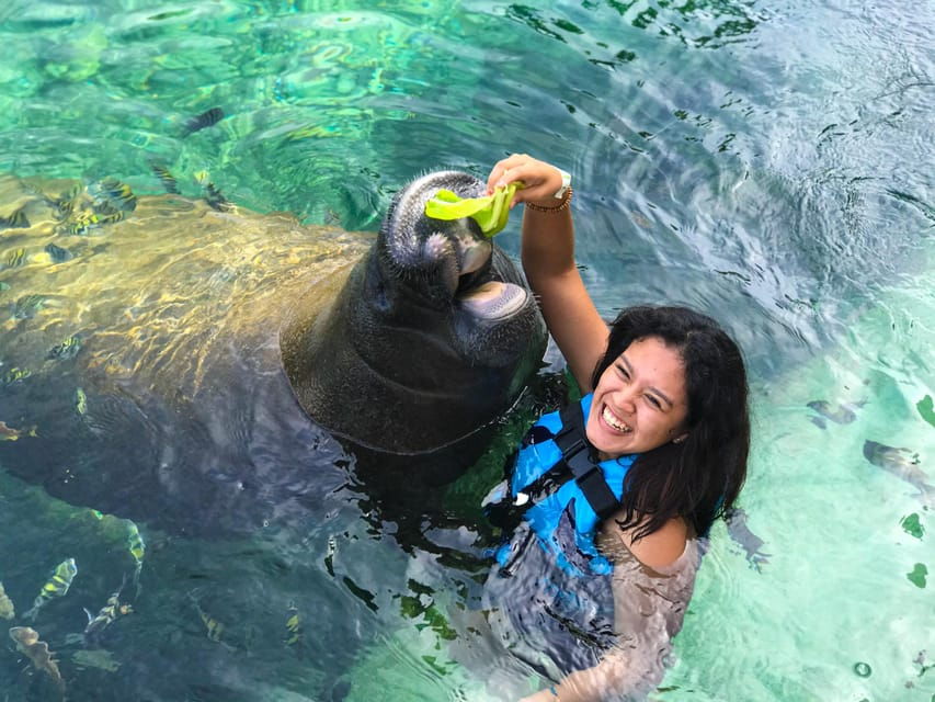 DISCOVERY ESPECIES (SEA LIONS & MANATEES)