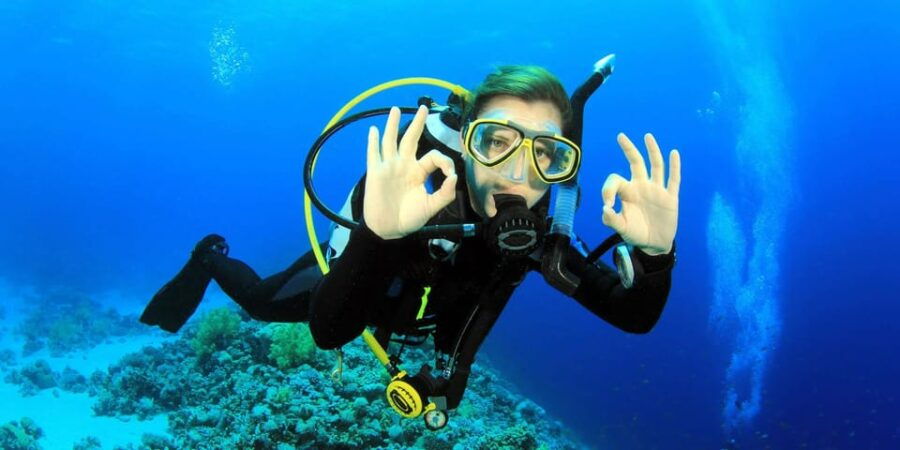 Diving + MUSA